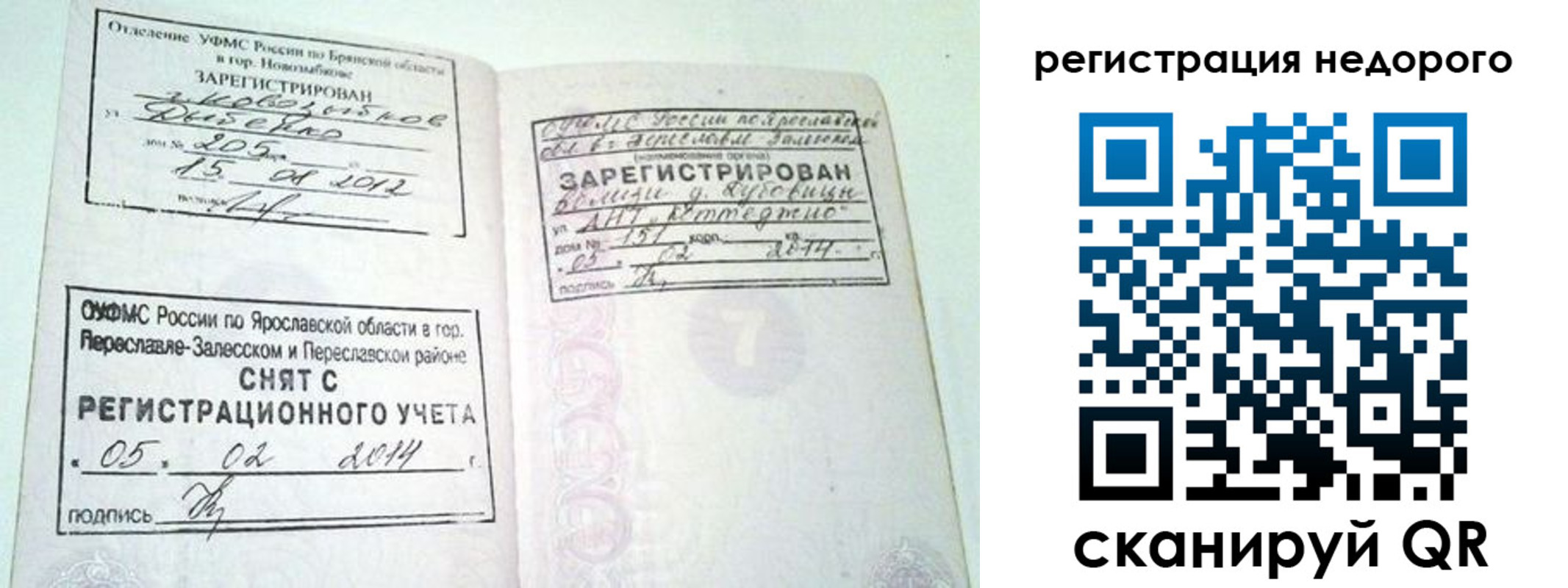 прописка поиск в Саранске